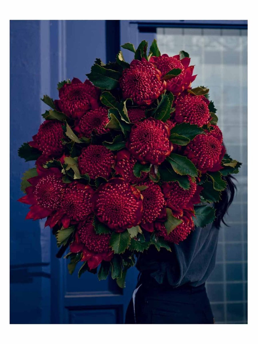 Bush Flowers
