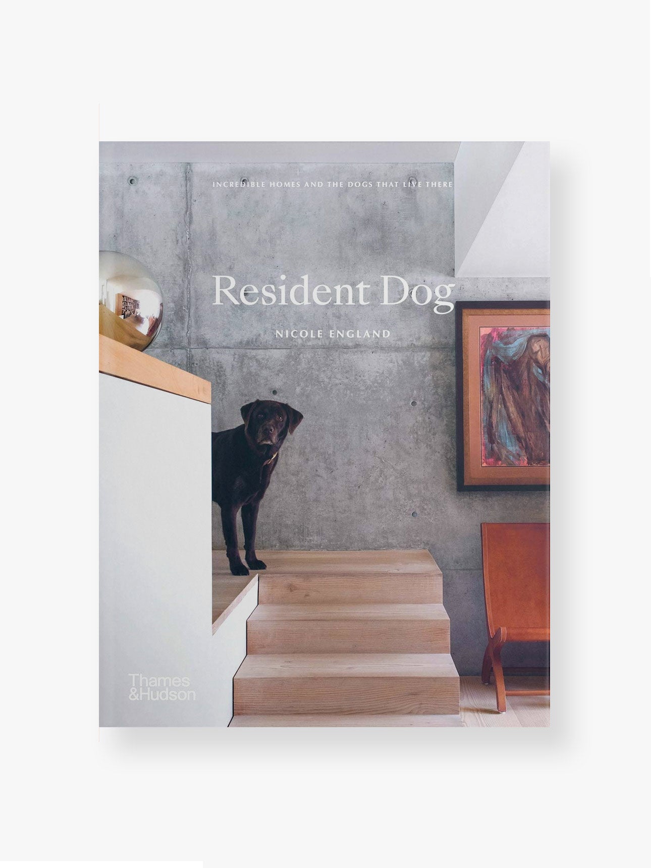 Resident Dog