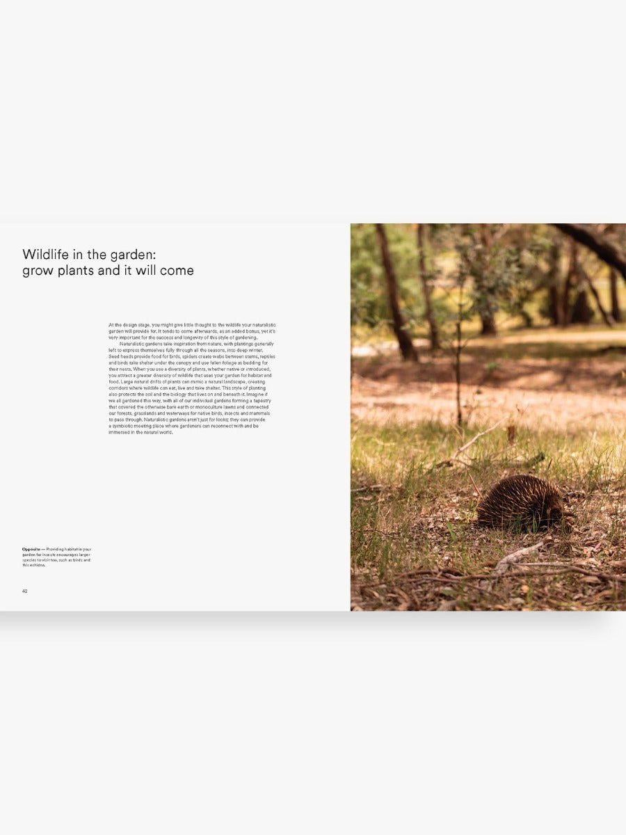 Wild By Design