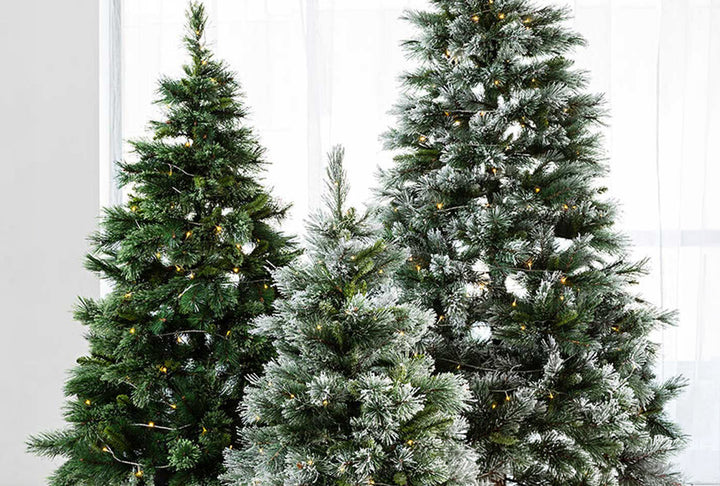 Christmas Trees & Lights