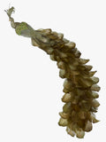 Flamenco Clip on Peacock in Green