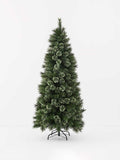 Alaskan Pine Tree - 180cm