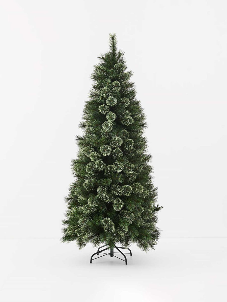 Alaskan Pine Tree - 180cm