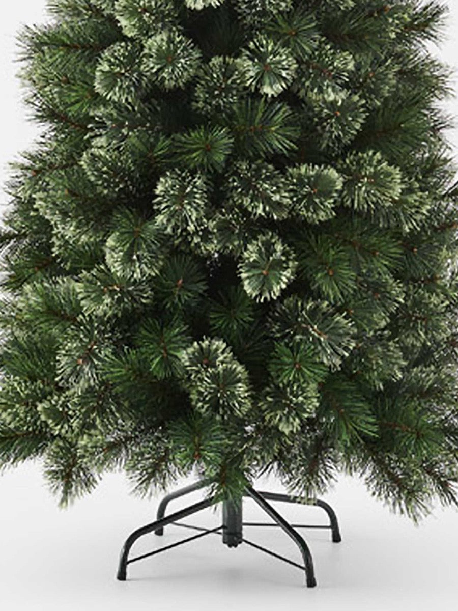 Alaskan Pine Tree - 180cm