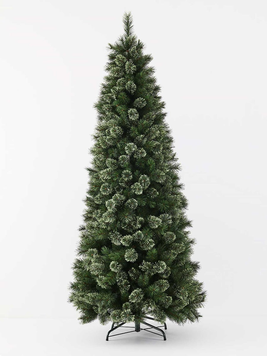Alaskan Pine Tree - 240cm