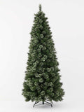 Alaskan Pine Tree - 240cm
