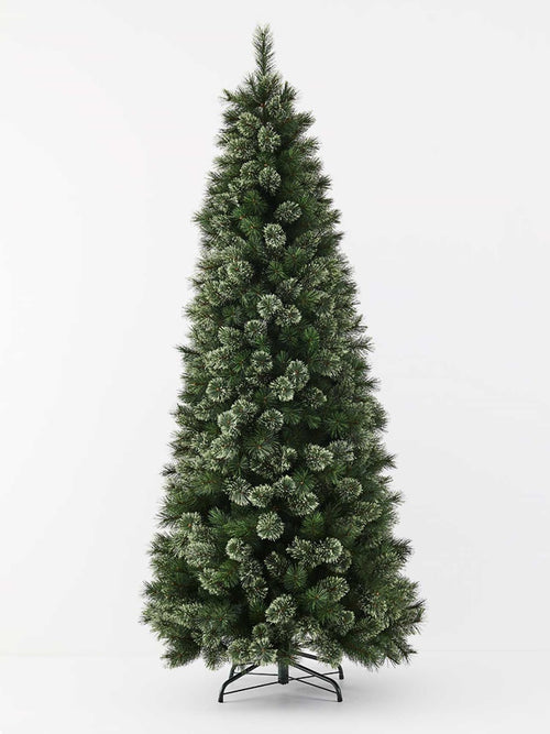 Alaskan Pine Tree - 240cm
