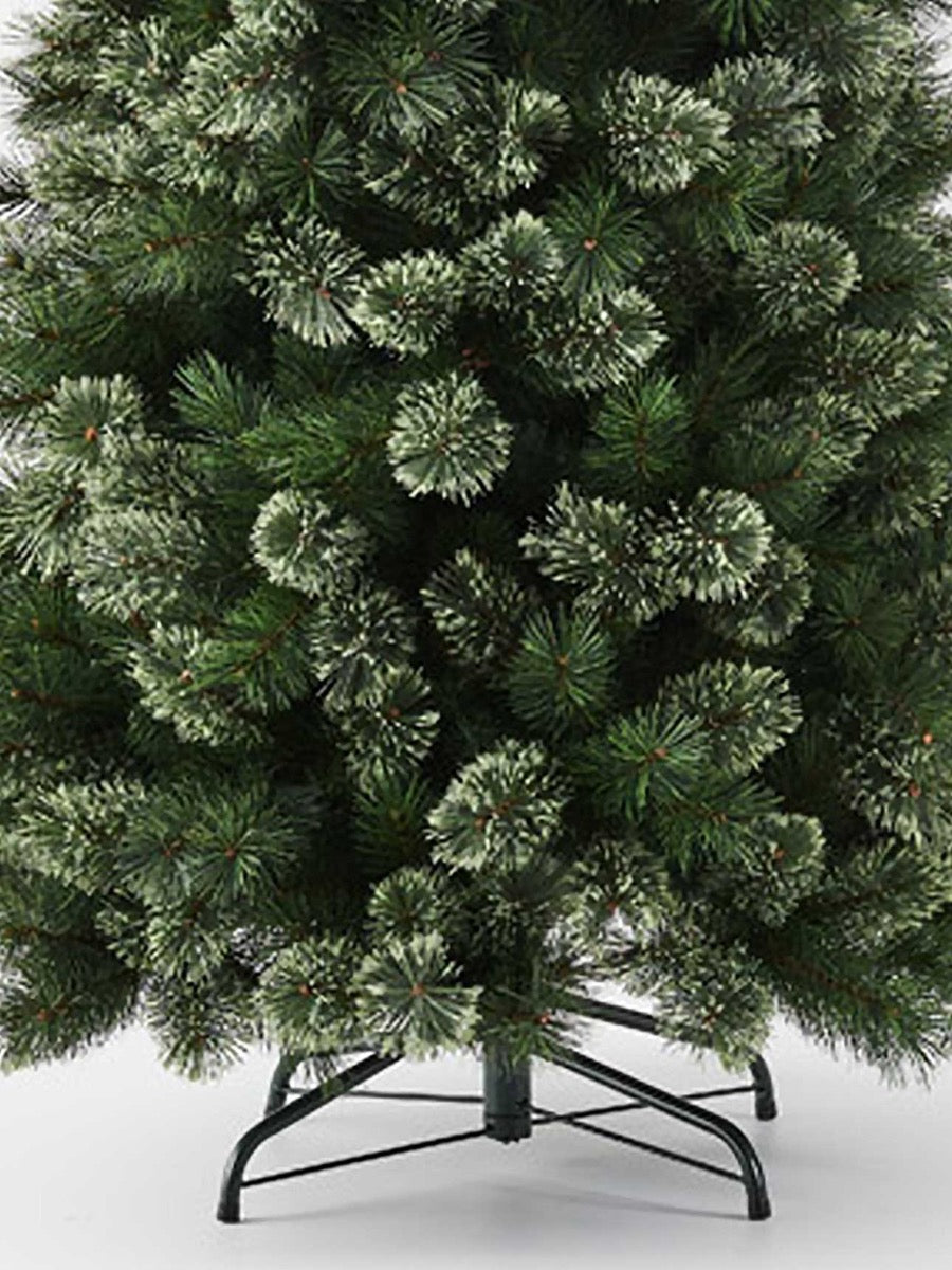 Alaskan Pine Tree - 240cm