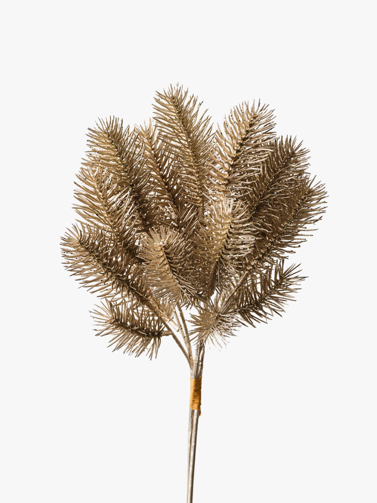 Pine Glitter Bouquet Champagne - 30cm