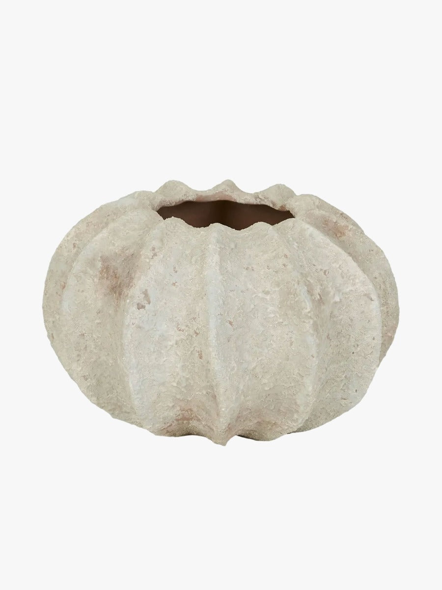 Hanson Coral Vase in Crema - Small