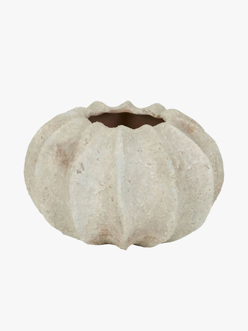Hanson Coral Vase in Crema - Small