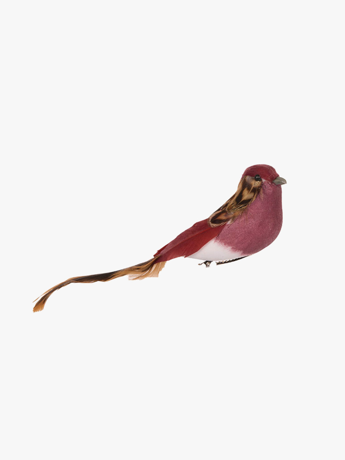 Feather Clip Bird in Port