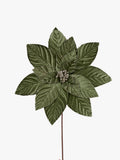 Luxe Poinsettia in Mint