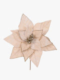 Minimal Champagne Velour Poinsettia