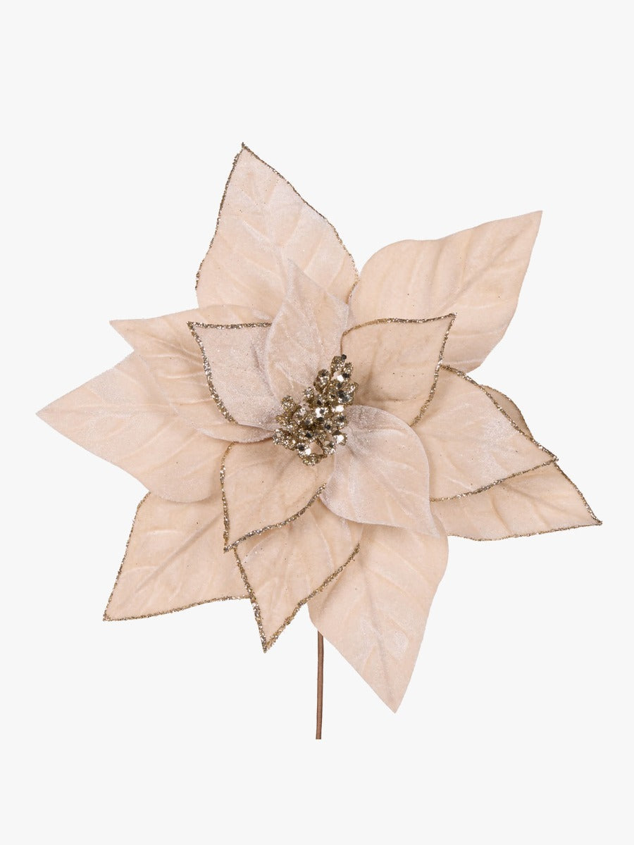 Minimal Champagne Velour Poinsettia