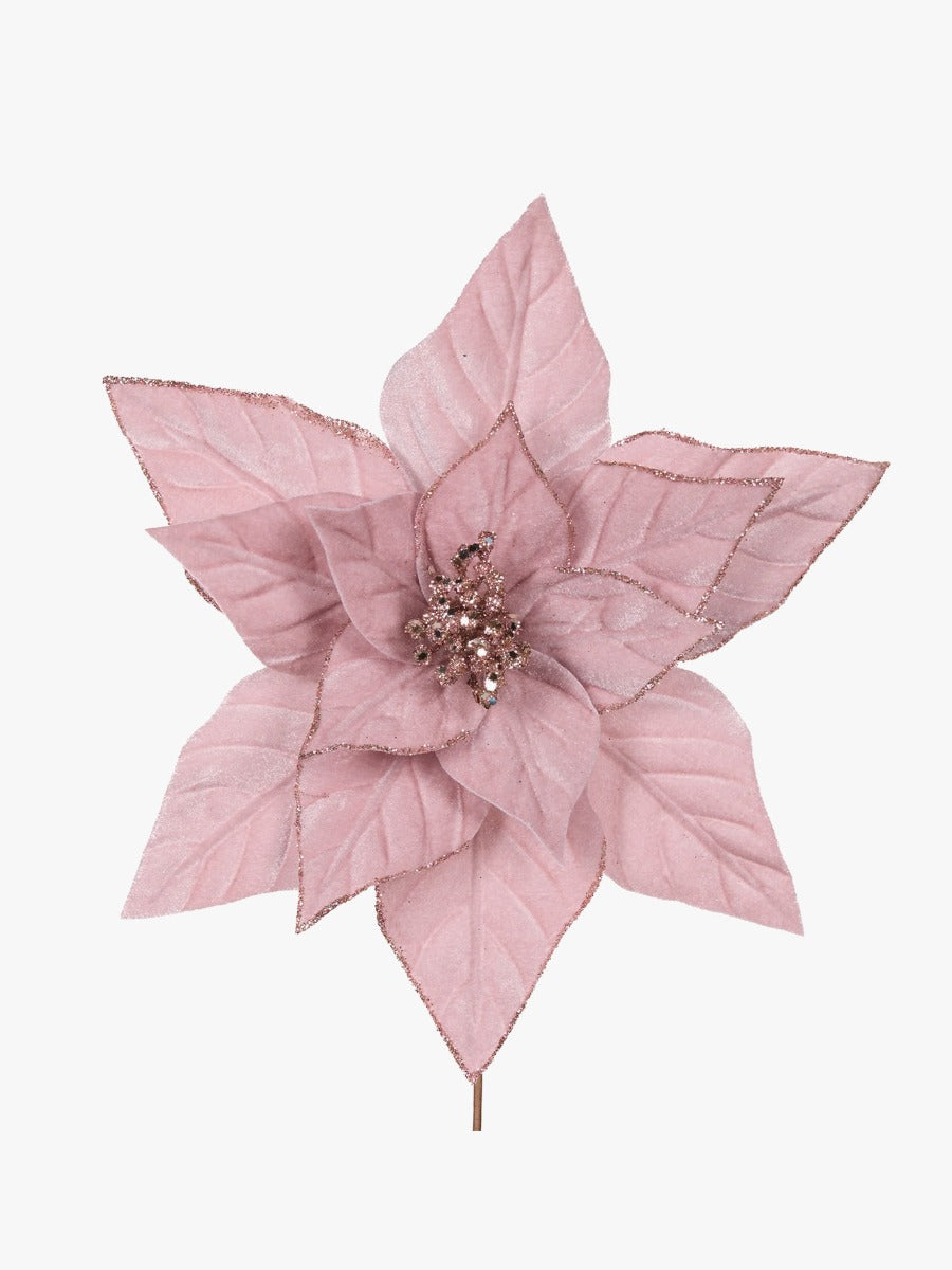 Minimal Pink Velour Poinsettia