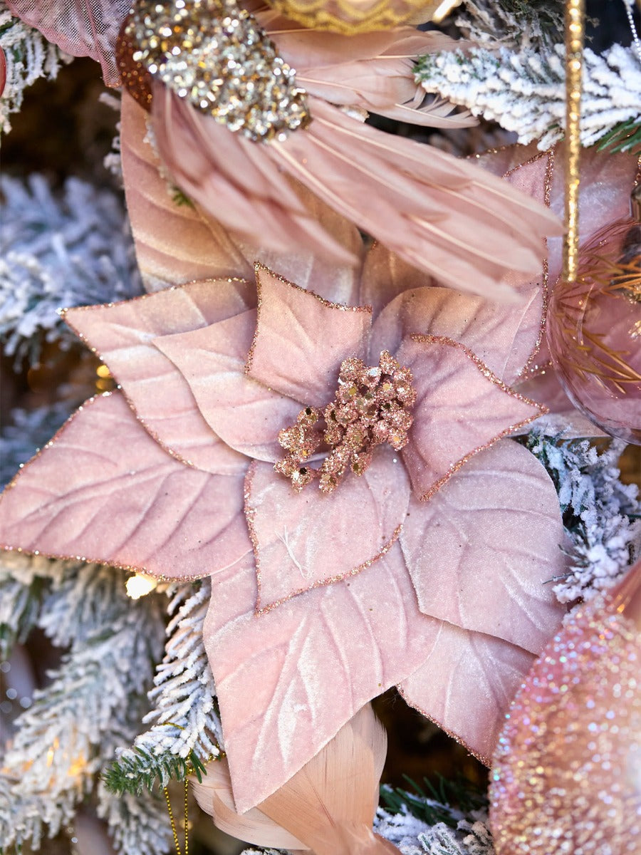 Minimal Pink Velour Poinsettia