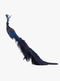 Navy Peacock
