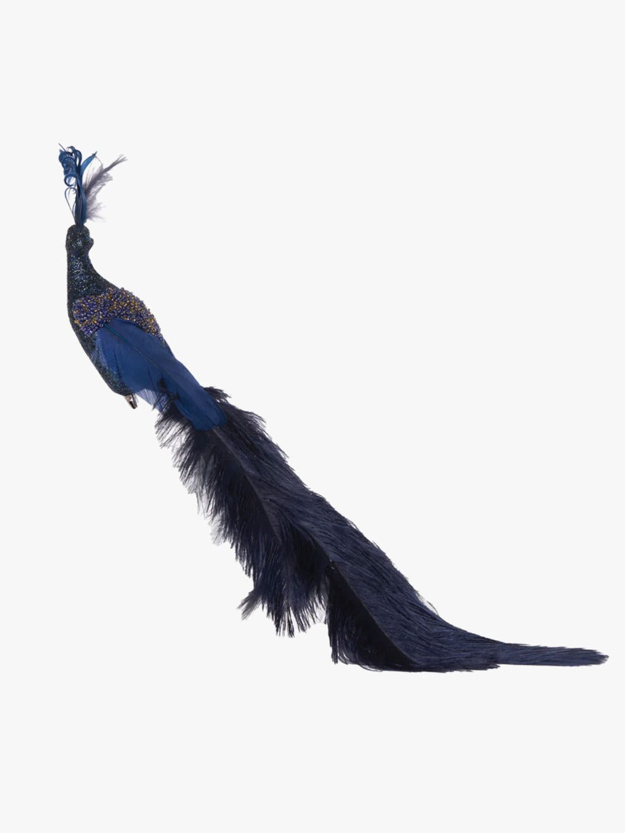Navy Peacock