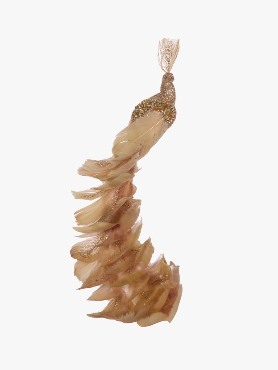 Neutral Curved Tailed Peacock