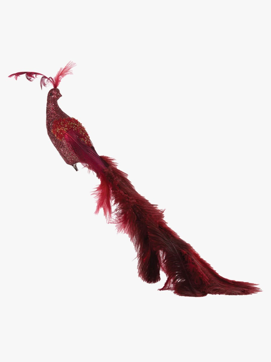 Red Peacock