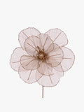 Sheer Copper Camellia