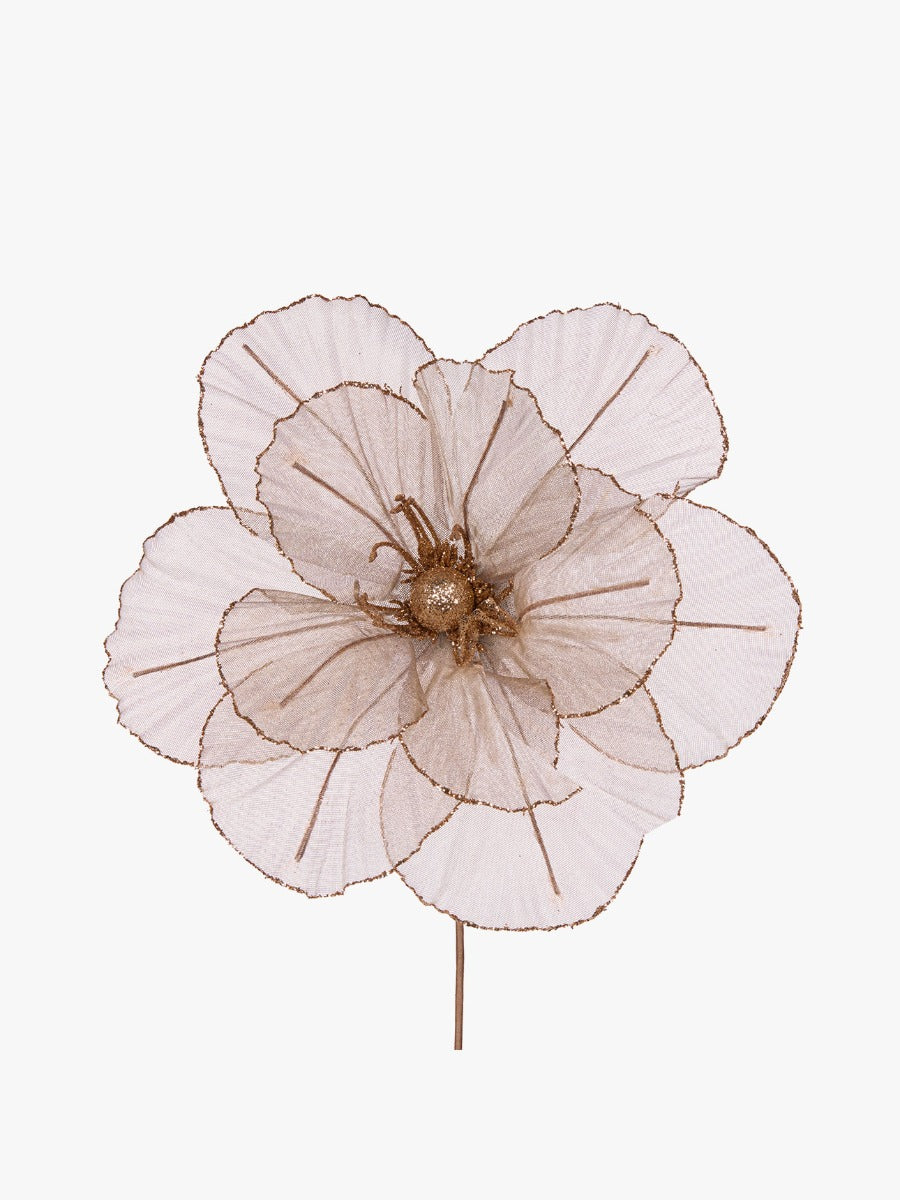 Sheer Copper Camellia