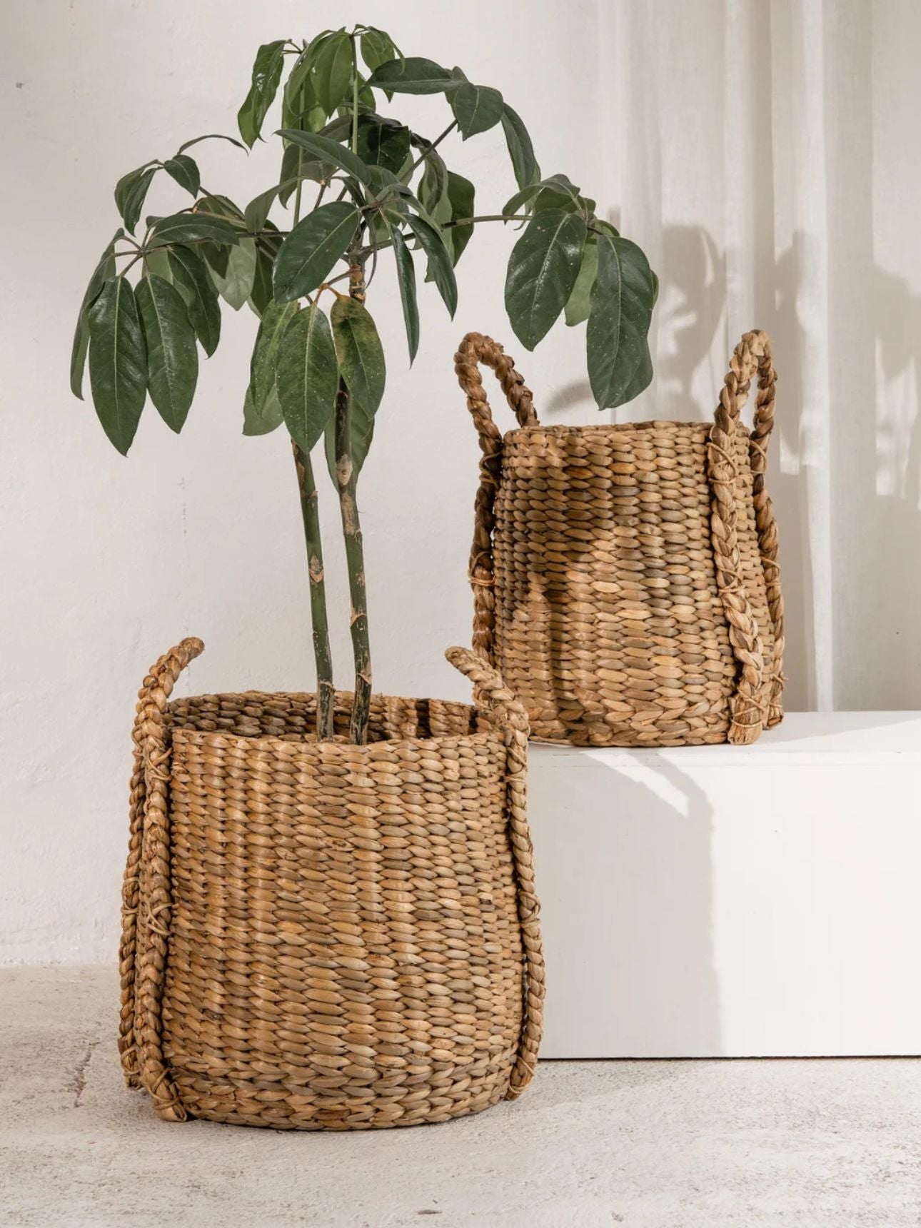 Bayyan Waterhyacinth Basket - Large
