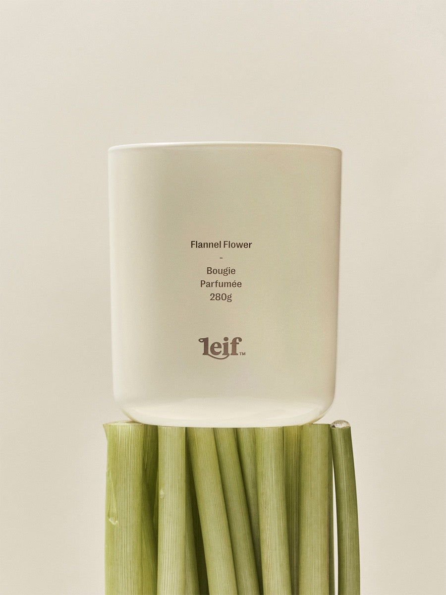 Flannel Flower Scented Candle