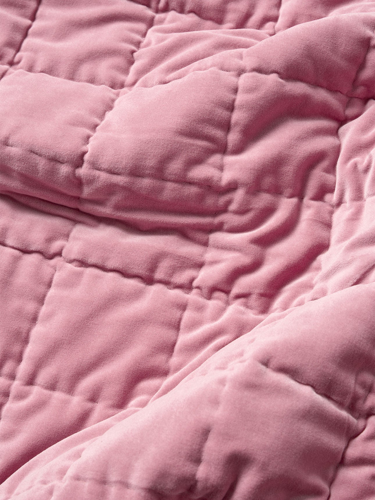 Luxury Velvet Coverlet in Orchid