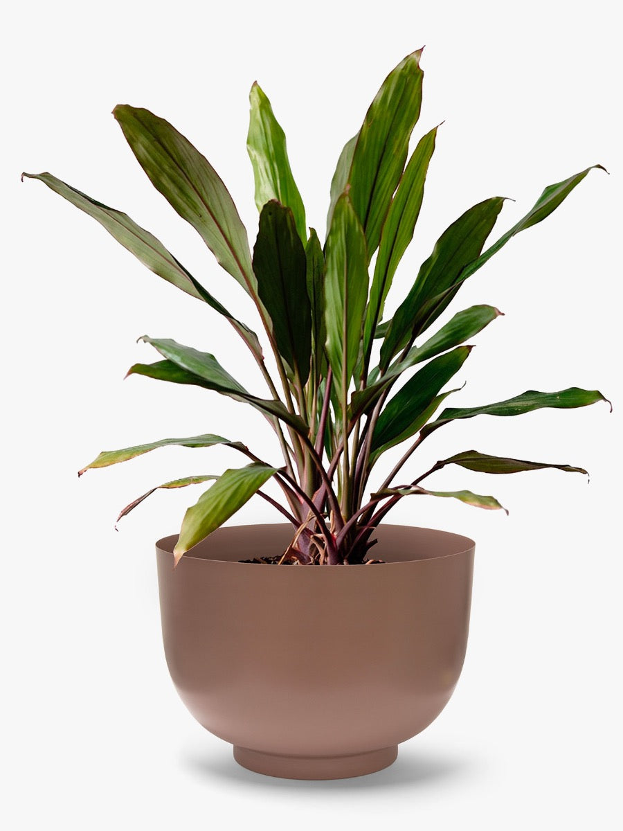 Orlo Metal Planter in Clay - Large