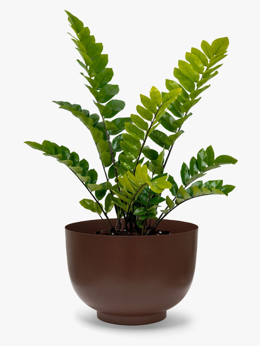 Orlo Metal Planter in Clove - Large