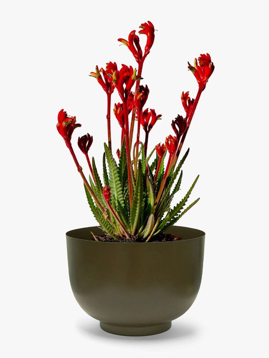 Orlo Metal Planter in Khaki - Large