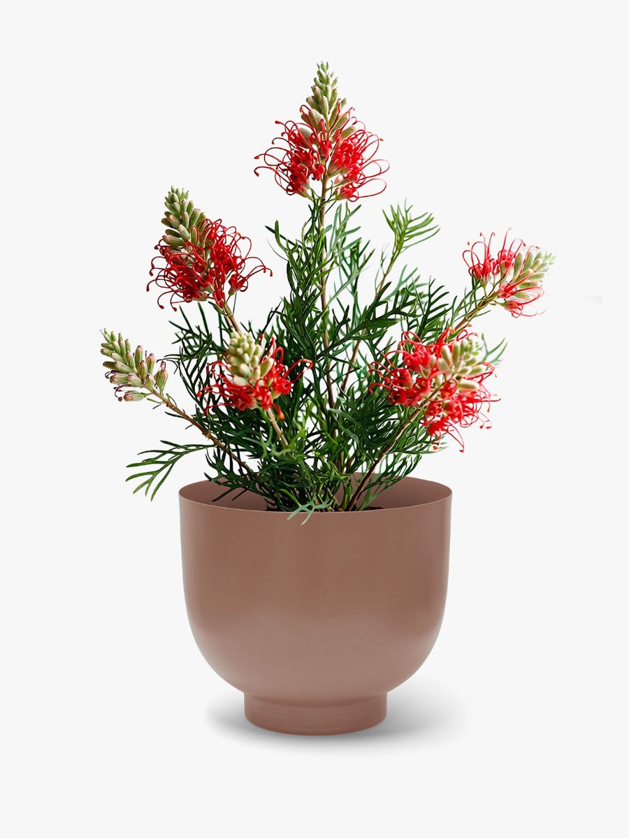Orlo Metal Planter in Clay - Medium