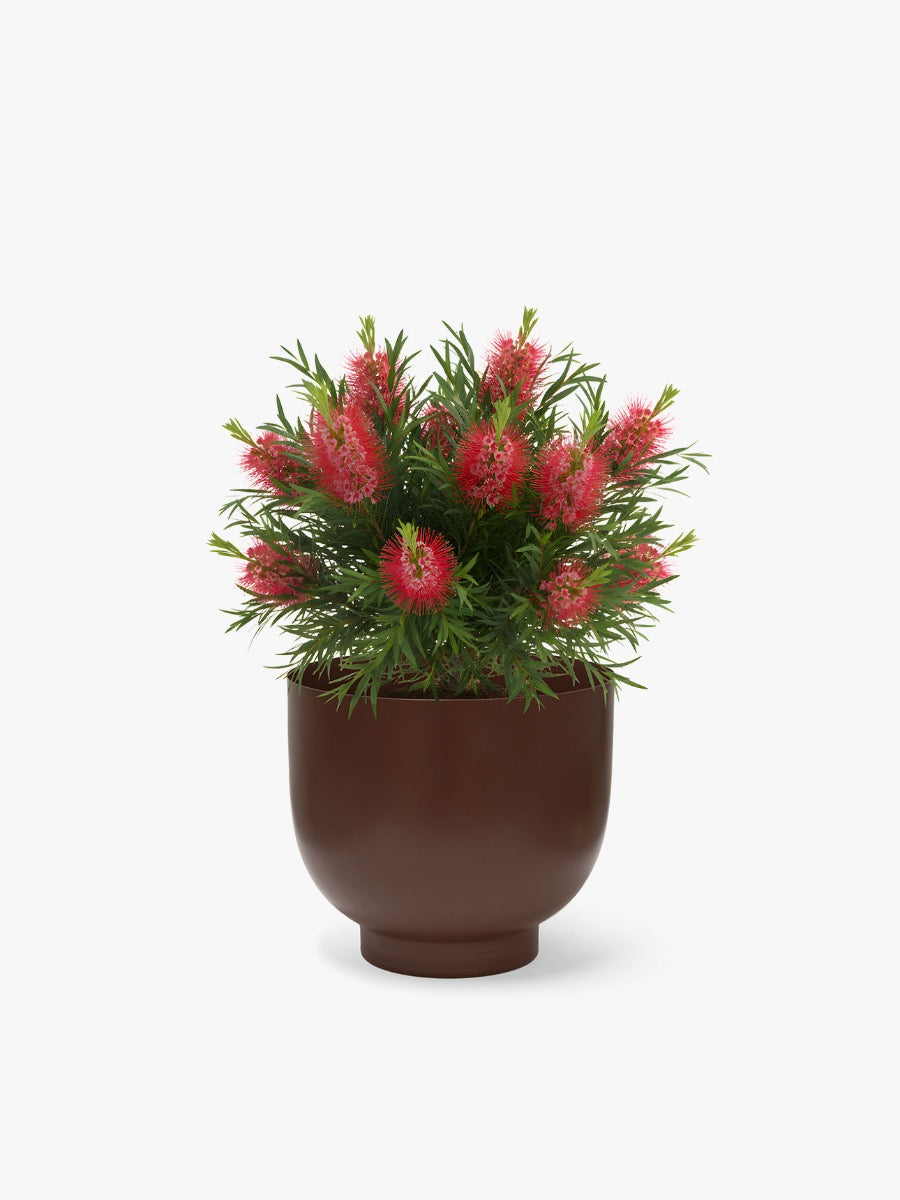 Orlo Metal Planter in Clove - Small