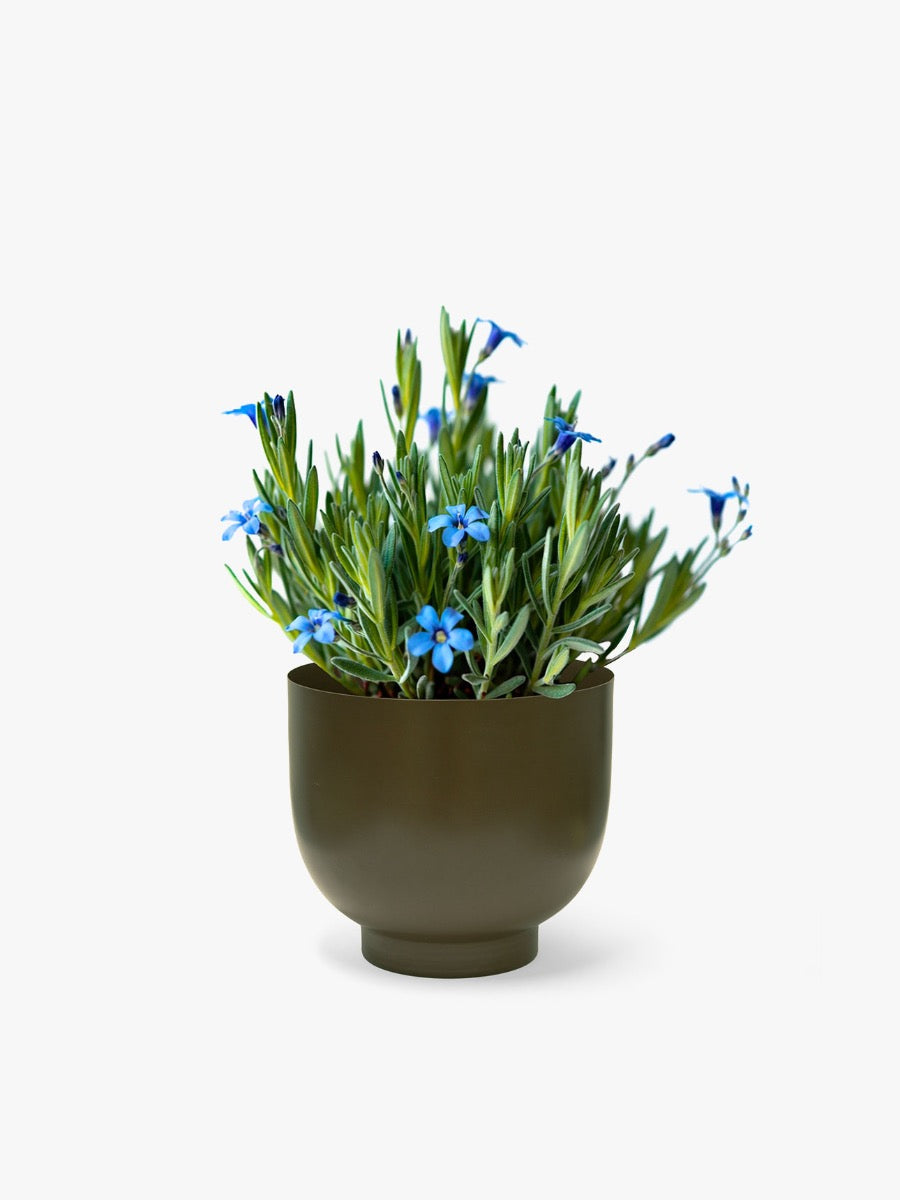 Orlo Metal Planter in Khaki - Small