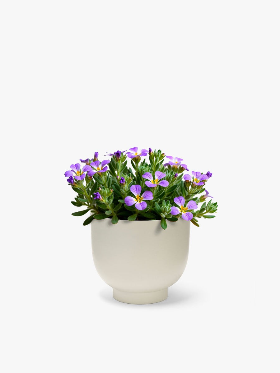 Orlo Metal Planter in Stone - Small