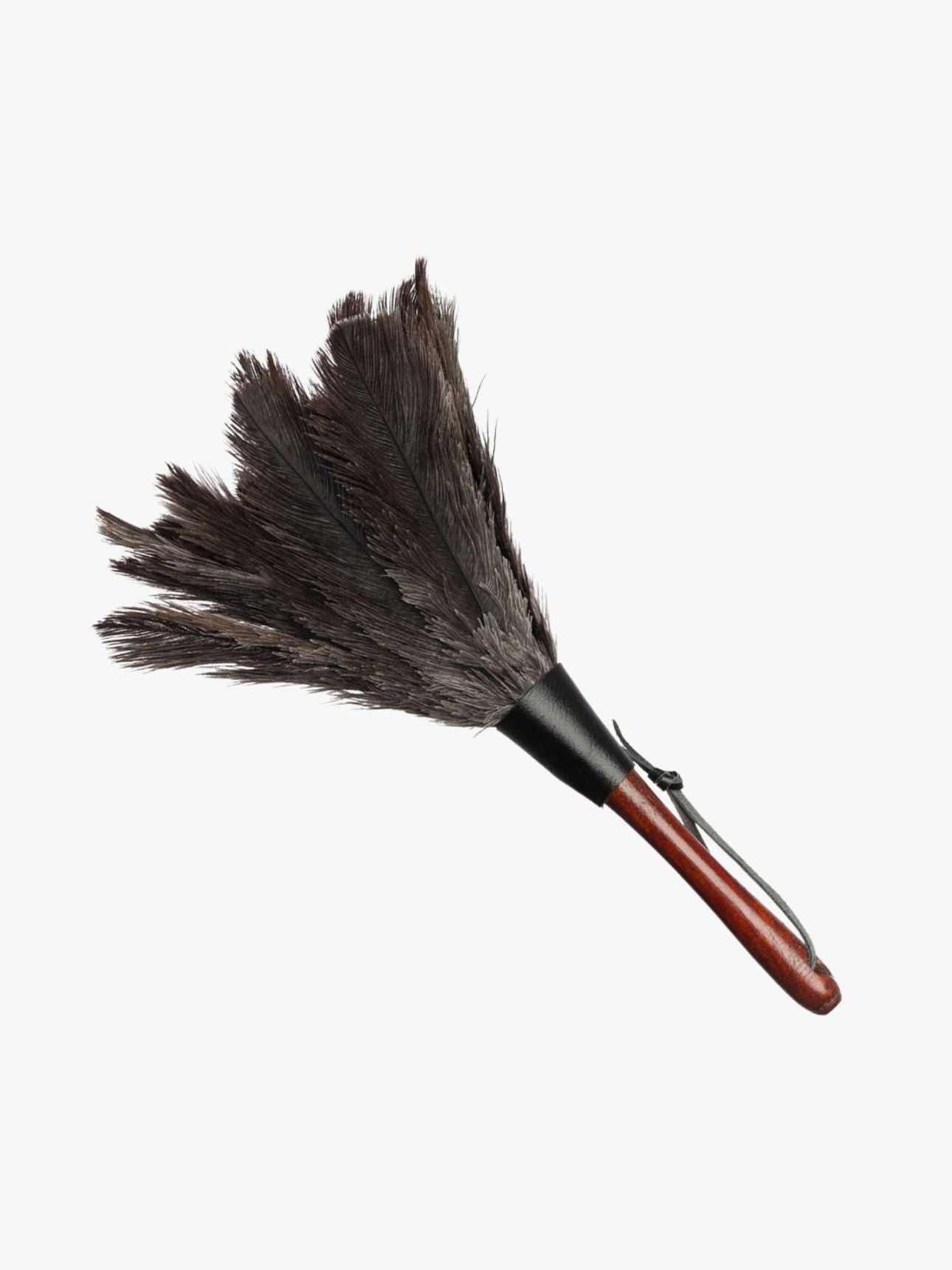 Ostrich Feather Duster