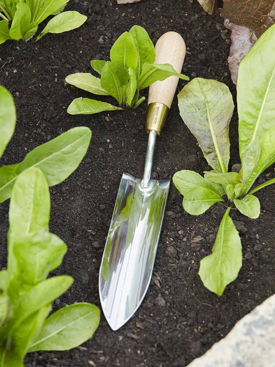Thin Trowel