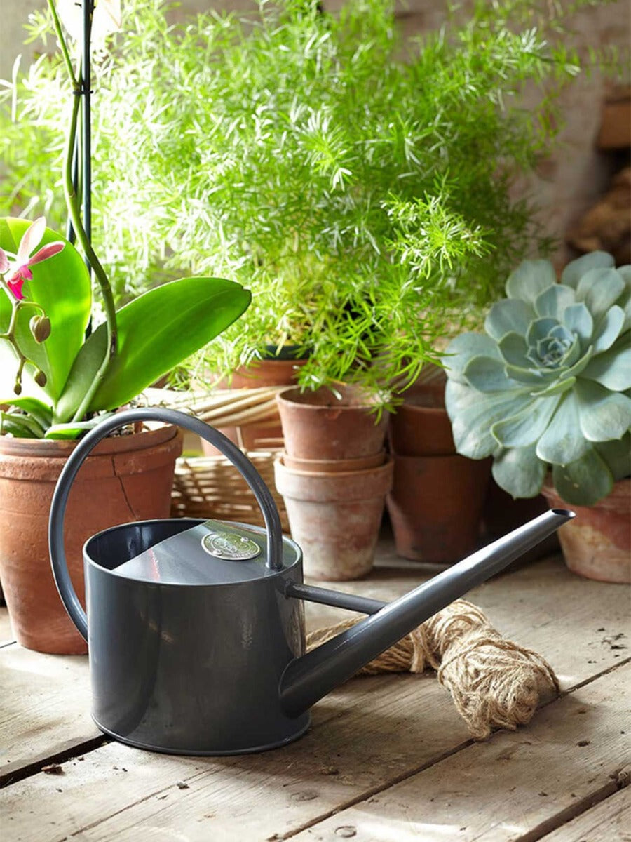 Indoor Watering Can in Grey