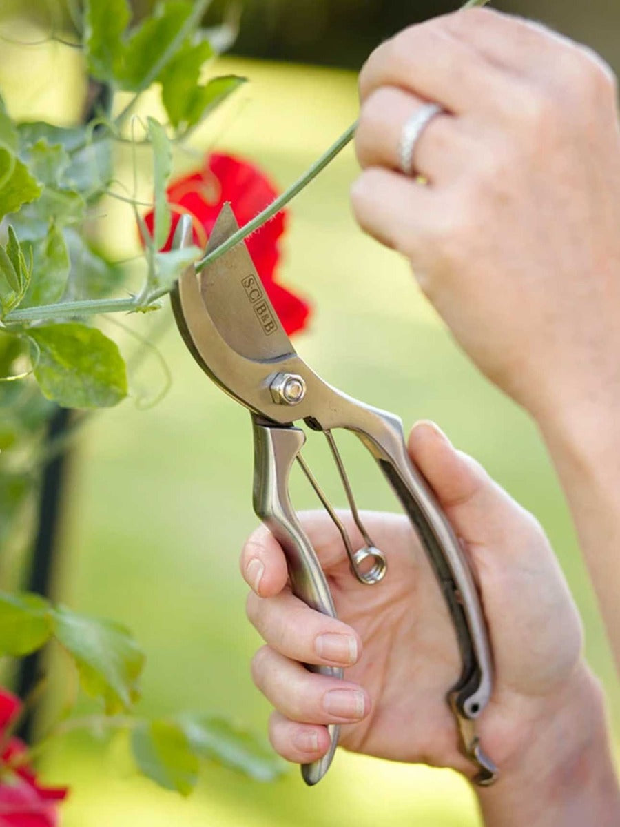 Secateurs