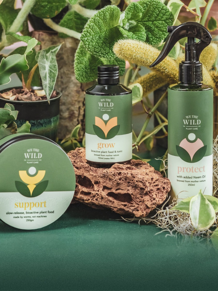 The Plant Lovers Essential Care Kit