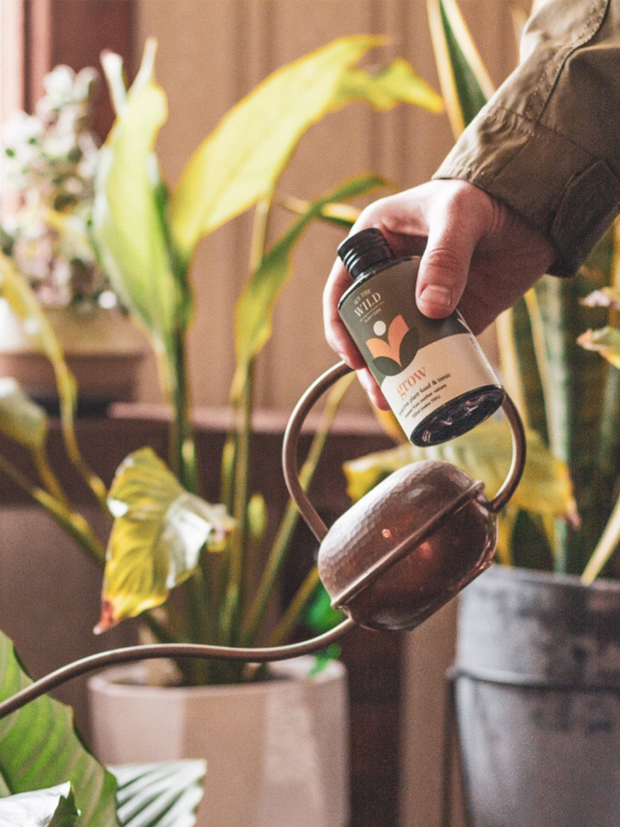 The Plant Lovers Essential Care Kit