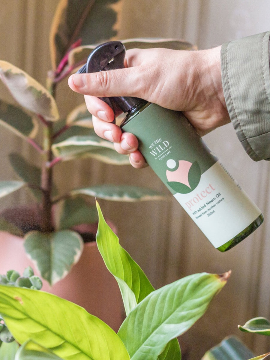 The Plant Lovers Essential Care Kit