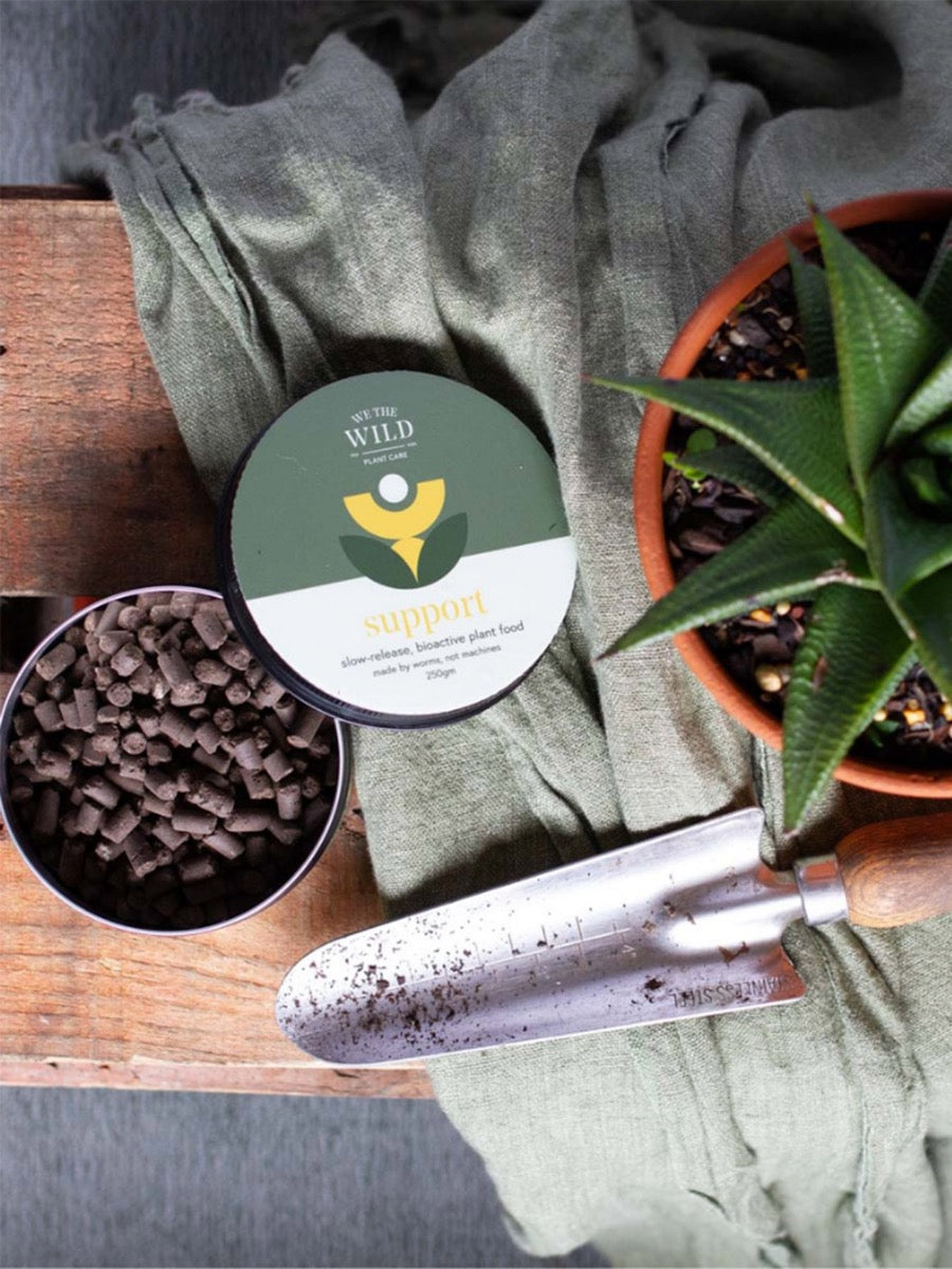 The Plant Lovers Essential Care Kit