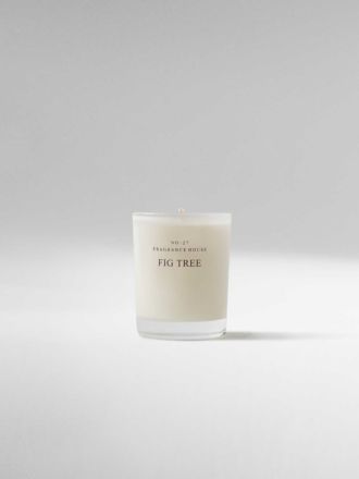 Fig Tree Mini Scented Candle